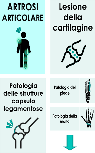 Scorri verso il basso
